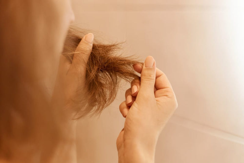A Comprehensive Guide to Understanding and Addressing Hair Loss