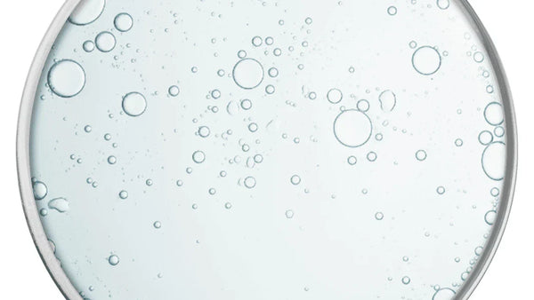 Deep Dive Into Your Biochemistry