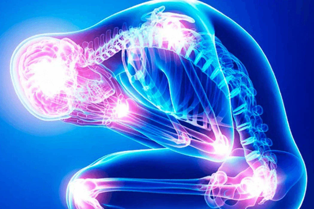 Inflammations Power in Ageing